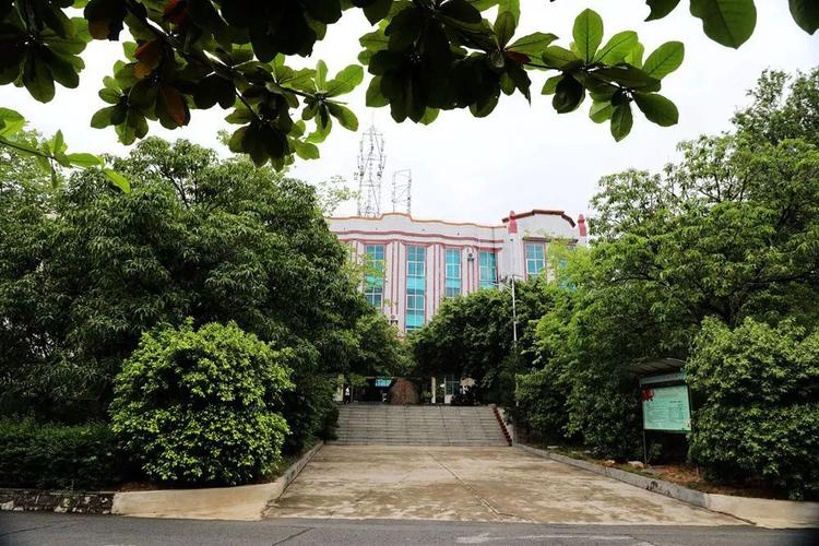 元江一中录取分数线2020?元江五区洼垤最热多少度-图1 元江一中录取分数线2020?元江五区洼垤最热多少度-图1