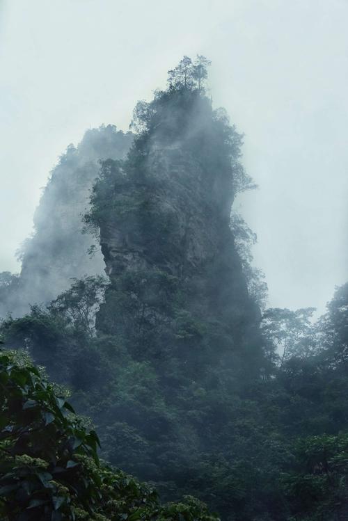 张家界今天下雨了吗?张家界温度现在是多少度-图2 张家界今天下雨了吗?张家界温度现在是多少度-图2