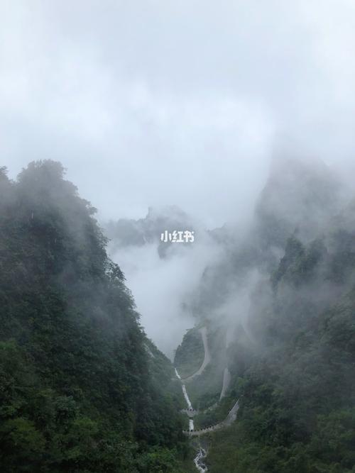 张家界今天下雨了吗?张家界温度现在是多少度-图3 张家界今天下雨了吗?张家界温度现在是多少度-图3