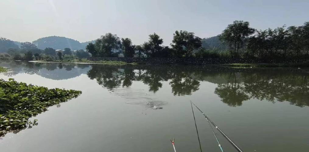 在一天里什么时候好钓?0到10度的浙江冬天?十月浙江一般多少度-图2 在一天里什么时候好钓?0到10度的浙江冬天?十月浙江一般多少度-图2