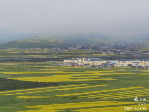 青海海西海拔?海西镇海拔多少-图3 青海海西海拔?海西镇海拔多少-图3