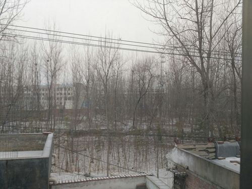 商丘周边避暑胜地?河南省夏邑县气温多少-图2 商丘周边避暑胜地?河南省夏邑县气温多少-图2