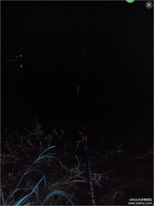 青白江胜利水库可以夜钓吗?青白江今天气压多少-图1 青白江胜利水库可以夜钓吗?青白江今天气压多少-图1