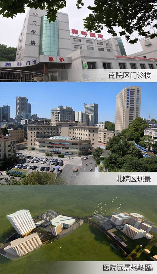 南京鼓楼医院属于哪个区哪个街道?丁家桥镇有多少人口-图1 南京鼓楼医院属于哪个区哪个街道?丁家桥镇有多少人口-图1