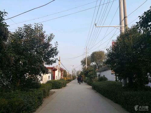 山东金乡有多少个乡镇?金乡县化雨镇多少人-图1 山东金乡有多少个乡镇?金乡县化雨镇多少人-图1