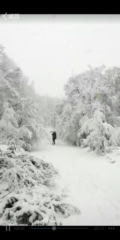 0几年下雪最大?2008年特大暴雪持续了多少天-图3 0几年下雪最大?2008年特大暴雪持续了多少天-图3