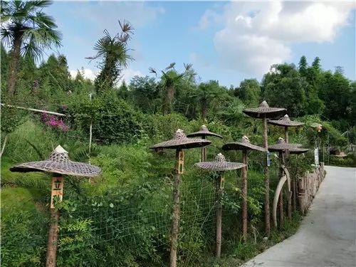 三台柳池的旅游景点?三台柳池到绵阳坐车要多少钱-图1 三台柳池的旅游景点?三台柳池到绵阳坐车要多少钱-图1