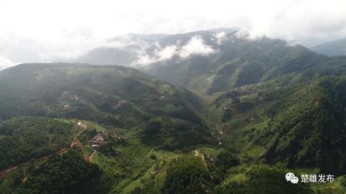 跳脚是什么意思?南华县到五顶山乡多少公里-图2 跳脚是什么意思?南华县到五顶山乡多少公里-图2