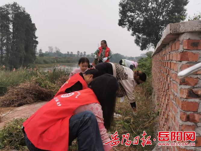 现在楚塘镇在屈原行政区有几个村?洛江河市镇人口多少-图3 现在楚塘镇在屈原行政区有几个村?洛江河市镇人口多少-图3