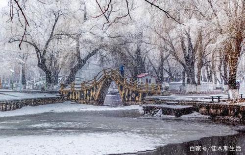 东北佳木斯几月份开始下雪了?佳木斯11月中旬是多少度-图3 东北佳木斯几月份开始下雪了?佳木斯11月中旬是多少度-图3