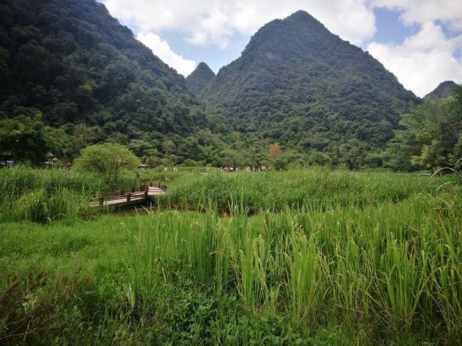 茂兰保护区自驾游攻略?荔波茂兰镇有多少个乡-图2 茂兰保护区自驾游攻略?荔波茂兰镇有多少个乡-图2