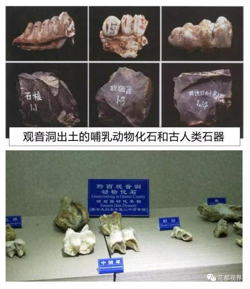 贵州的新石器时代遗址主要有?黔西县到沙井乡多少钱-图1 贵州的新石器时代遗址主要有?黔西县到沙井乡多少钱-图1
