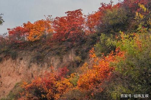 山西周边看红叶最好的地方?10中旬去五台山多少度-图2 山西周边看红叶最好的地方?10中旬去五台山多少度-图2