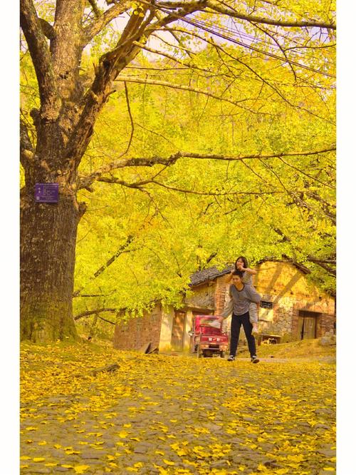 磁县大水头村跟哪个村最近?武安长寿村夏天温度是多少-图2 磁县大水头村跟哪个村最近?武安长寿村夏天温度是多少-图2