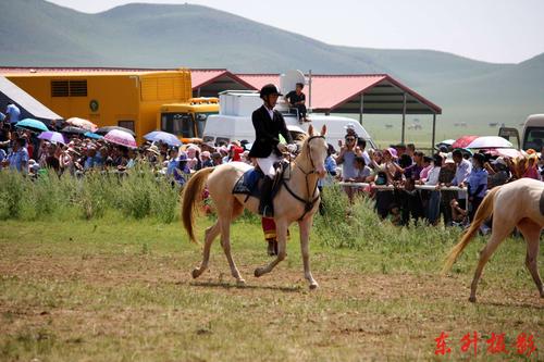 太仆寺旗御马苑景区马术表演时间?贡宝拉格草原住宿多少钱-图1 太仆寺旗御马苑景区马术表演时间?贡宝拉格草原住宿多少钱-图1