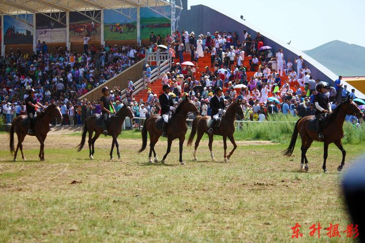 太仆寺旗御马苑景区马术表演时间?贡宝拉格草原住宿多少钱-图3 太仆寺旗御马苑景区马术表演时间?贡宝拉格草原住宿多少钱-图3