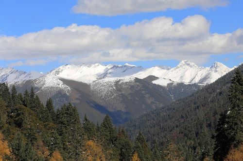 长征途中穿越了海拔4千米的什么山?马尔康松岗镇海拔多少米-图1 长征途中穿越了海拔4千米的什么山?马尔康松岗镇海拔多少米-图1